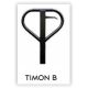 Timon forme B pour Transpalette SDF25N et CBG25